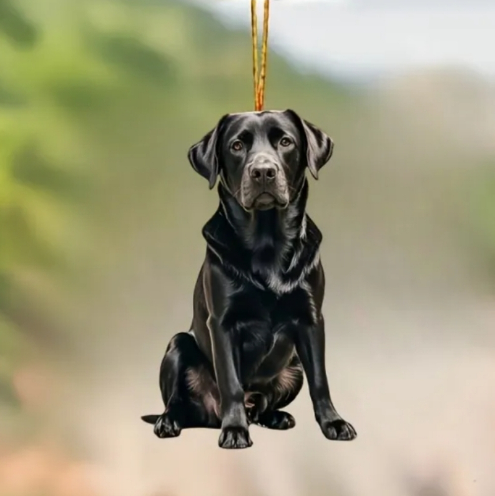 NEW! 2D Acrylic Black Labrador Retriever Keychain Bag 👜 🎒 Charm ~ 🐕 🐾 🎁 🥎